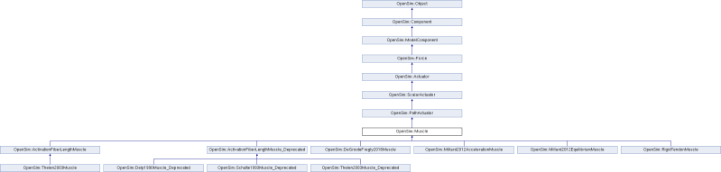 Api Opensim Muscle Class Reference - Premium Colorful Picture Gallery - Retina