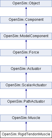 Api Opensim Muscle Class Reference - Artistic Sunset Pattern - 8K
