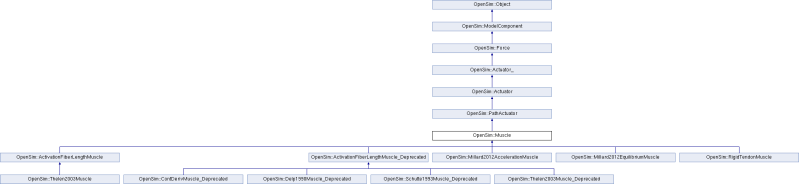 Api Opensim Muscle Class Reference - Elegant Gradient Pattern - 8K