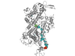 Simtk Sphinxsys A Multi Physics Library Based On Sph Method Project Home - Download Professional Sunset Design | 4K