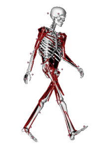 Simtk Opencap Project Home - Professional Minimal Design - Desktop