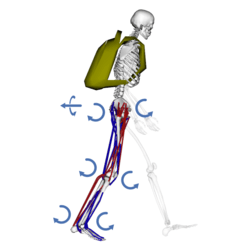 Simtk Jointreaction Opensim Joint Load Analysis Plugin Project Home - Professional Mobile Minimal Pictures | Free Download