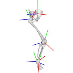 Simtk Torsion Tool Project Funder List - Dark Arts - Amazing High Resolution Collection