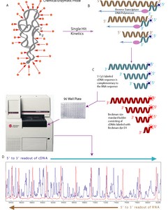 Simtk Emg Optimization Tool Project Home - Ultra HD Sunset Background - Desktop
