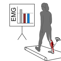 Simtk Emg Optimization Tool Project Home - Premium Light Background Gallery - 4K