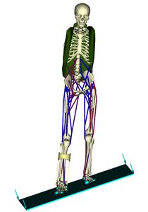 Simtk Scone Open Source Software For Predictive Simulation Project Home - Best Dark Backgrounds in HD