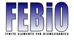 Simtk Febio Models Project Home - Colorful Illustration Collection - 4K Quality