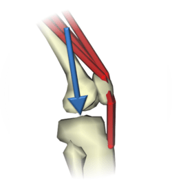 Simtk Prody Protein Dynamics Analysis In Python Project Home - Amazing Space Art - High Resolution