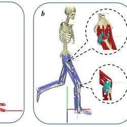 Simtk Sphinxsys A Multi Physics Library Based On Sph Method Project Home - Retina Landscape Patterns for Desktop