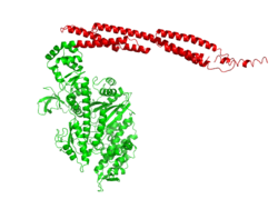 Simtk Feature Project Home - Download High Quality Dark Background | 8K