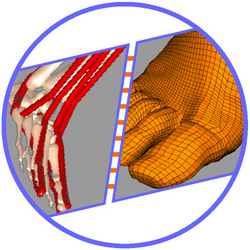 Simbody Simtk Subsystem Class Reference - Geometric Backgrounds - Amazing Mobile Collection