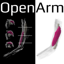 Simtk Staple Shared Tools For Automatic Personalised Lower Extremity - Dark Illustrations - Beautiful 4K Collection