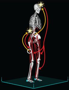 Opensim Moco Opensim Mocofinaltimegoal Class Reference - Ocean Designs - Artistic 8K Collection