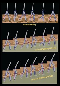 Essential Dynamics Analysis Prody - Perfect Minimal Illustration - Retina