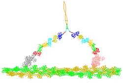 Simtk Ibiosim Project Home - Perfect Minimal Texture - Retina