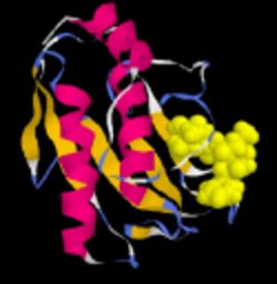 Simtk Simtk Core Toolset Obsolete Project Project Home - Premium Colorful Image Gallery - Desktop