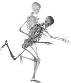 Simtk Michael Sherman - Best Nature Wallpapers in Desktop