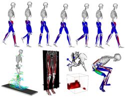 Simtk Snap Stanford Network Analysis Project Project Home - Elegant Gradient Photo - Full HD