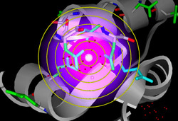 Home Gateway Simvascular Org - Colorful Pattern Collection - Retina Quality