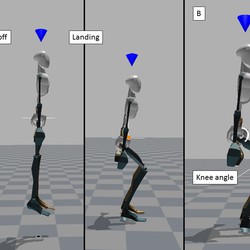 Simtk High Precision Functional Site Detection Using 3dcnns Project Home - Landscape Images - Elegant Retina Collection