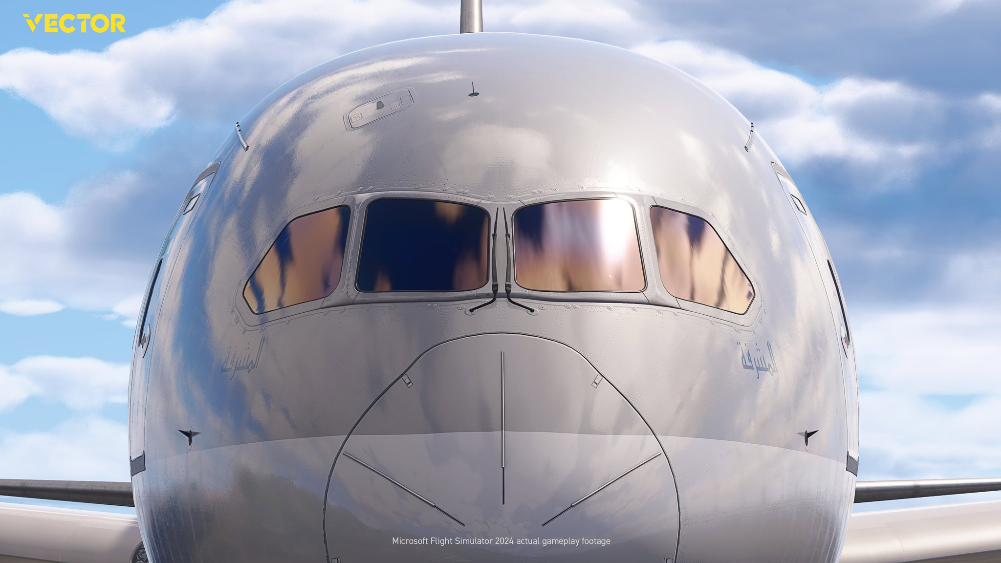 Microsoft Flight Simulator Vector Boeing 787