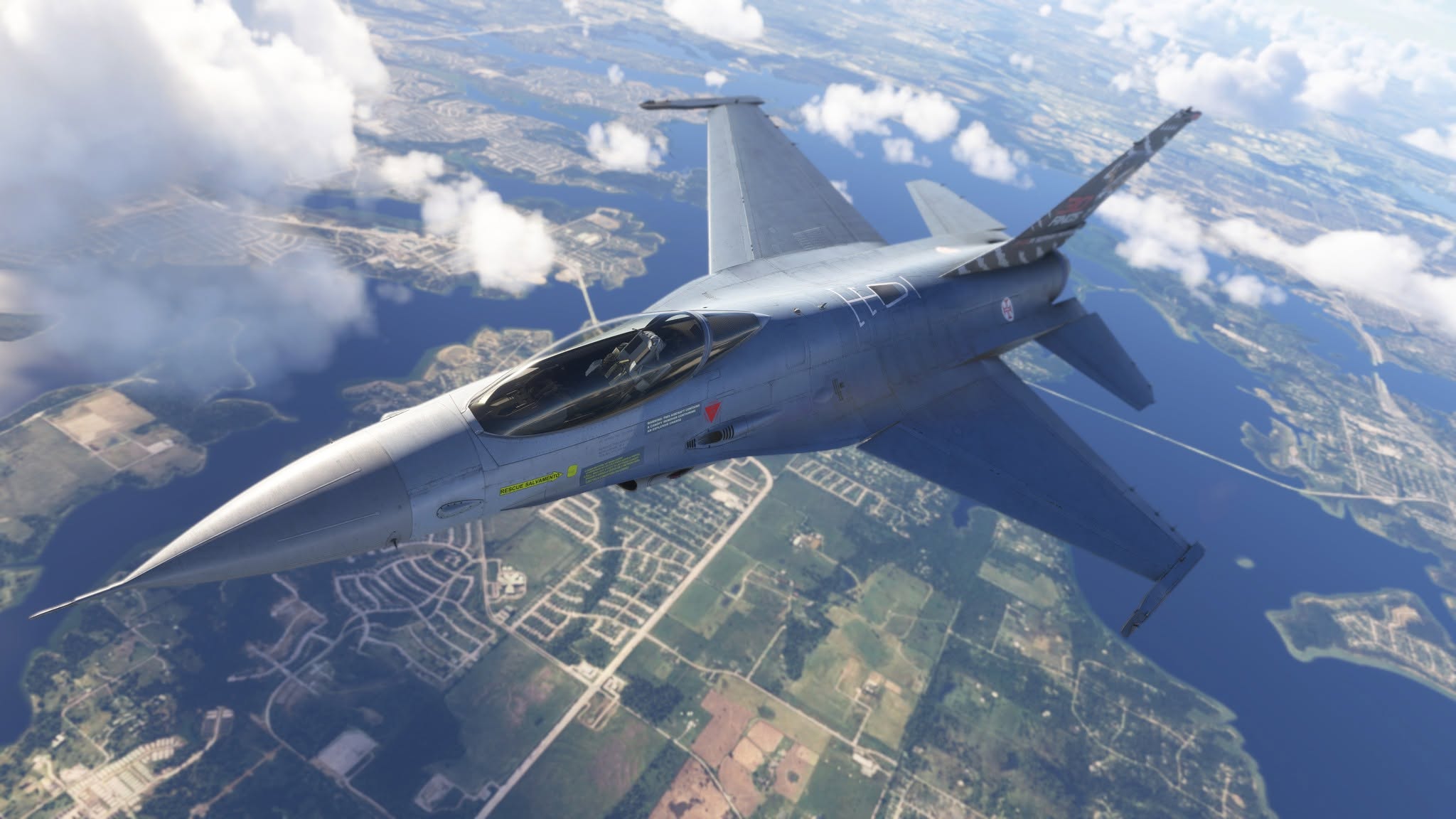 A flight Simulation scene: Microsoft Flight Simulator F16
