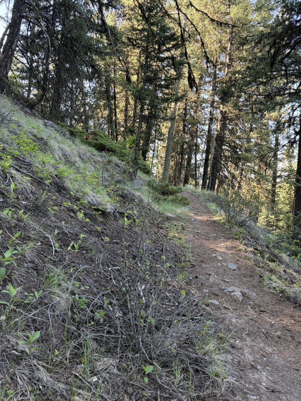 Trail up the mountain Trail up the mountain
