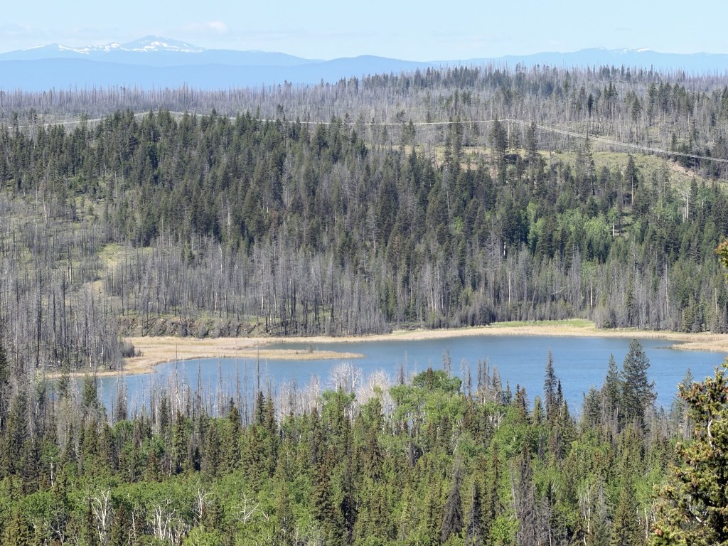 Lake view Lake view