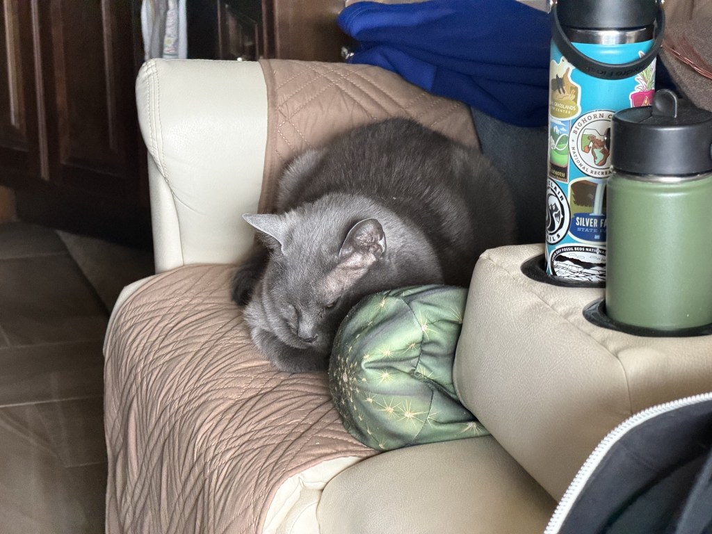 Paladin sitting on the couch Paladin sitting on the couch