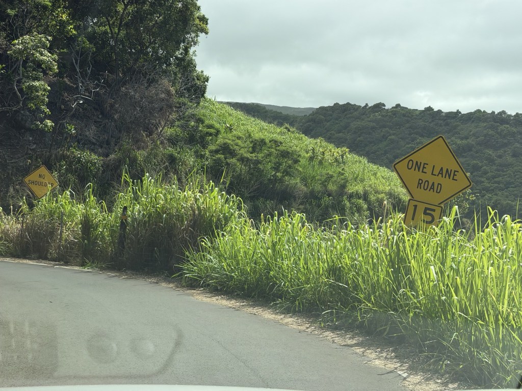 One lane road One lane road