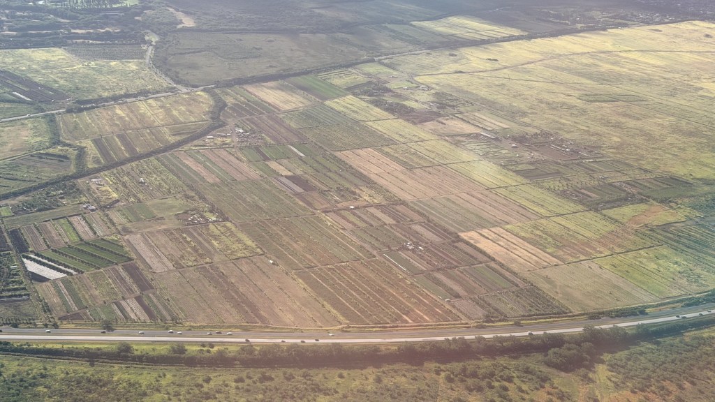 Farmland