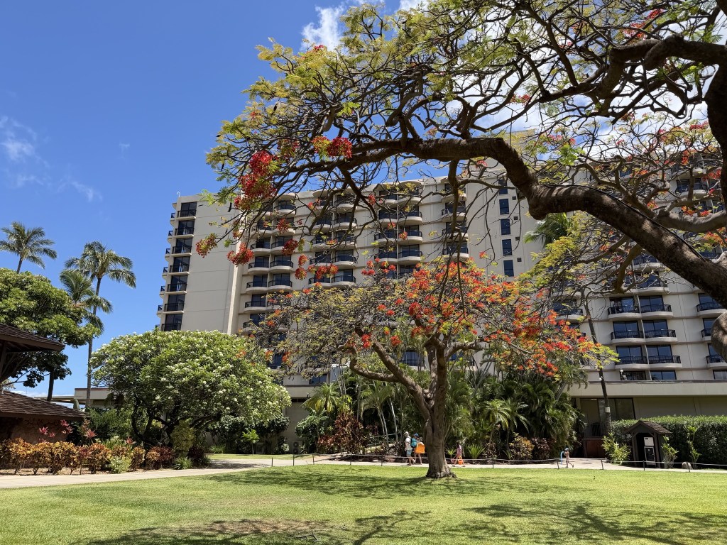 Trees and resort