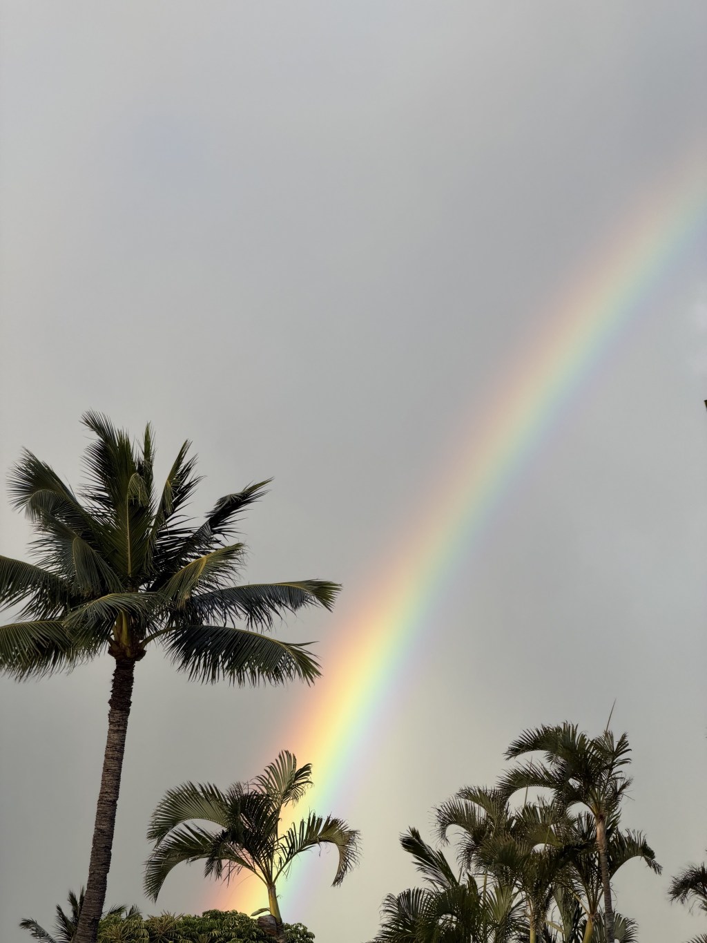 Rainbow