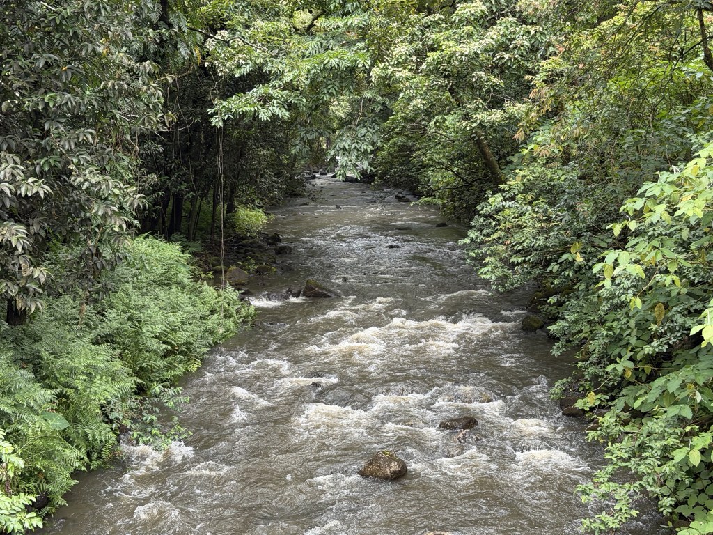 Creek Creek