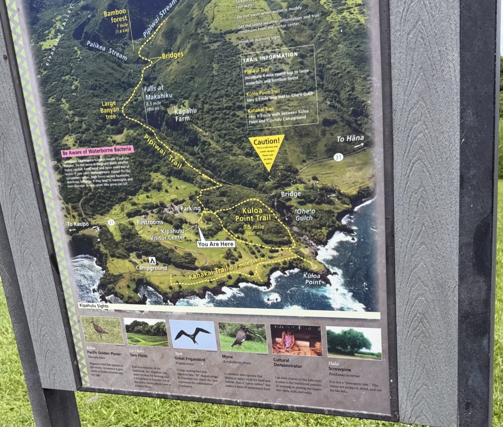 We did the Kūloa Point Trail loop
