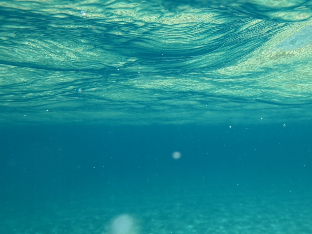 Swimming Swimming