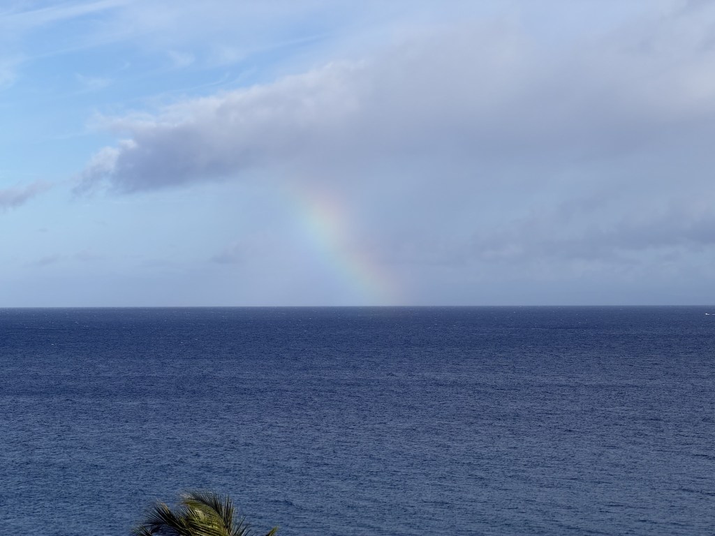 Rainbow Rainbow