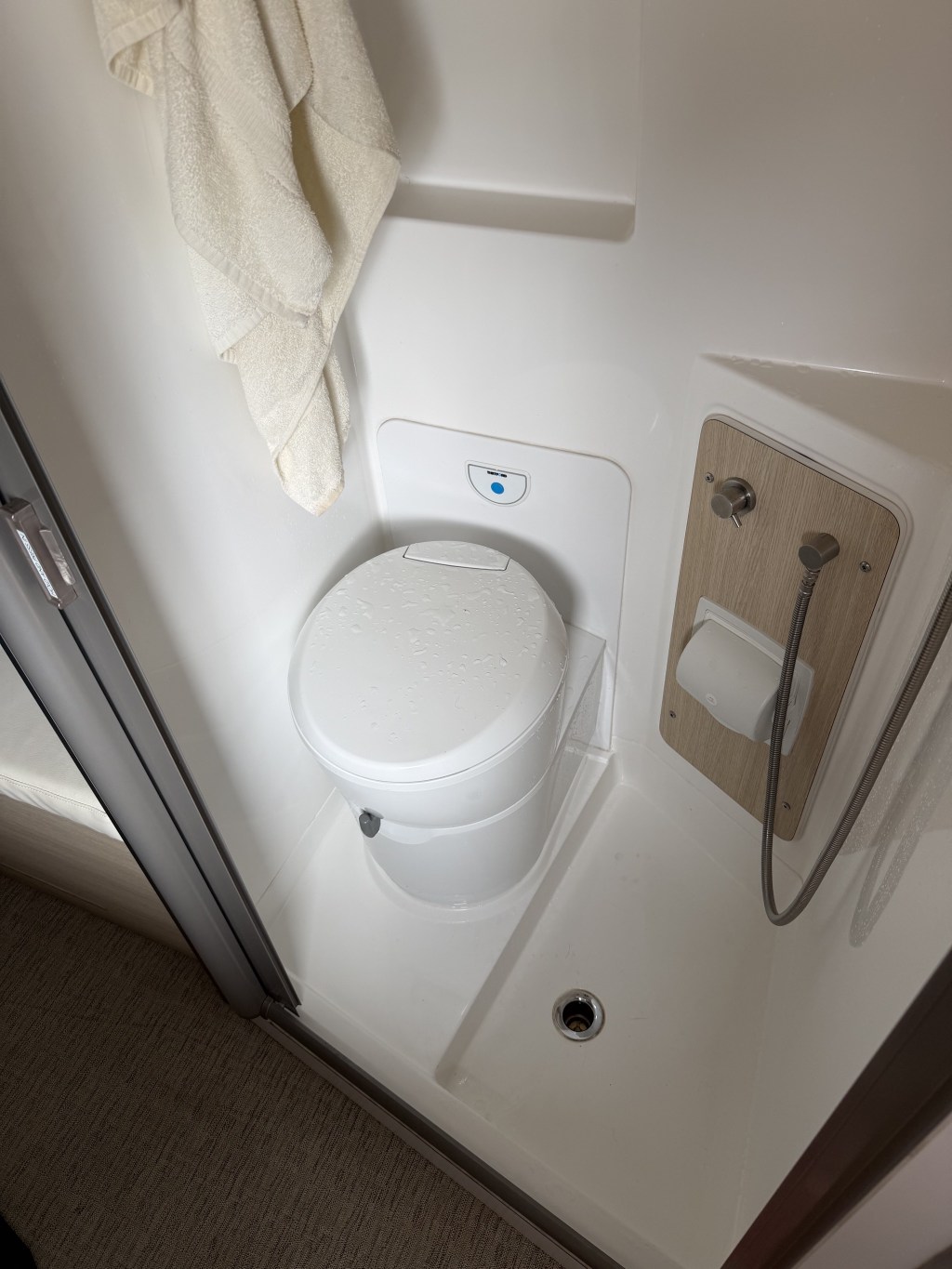 Wet bathroom with self-cleaning roller door, cassette toilet, covered TP, and shower