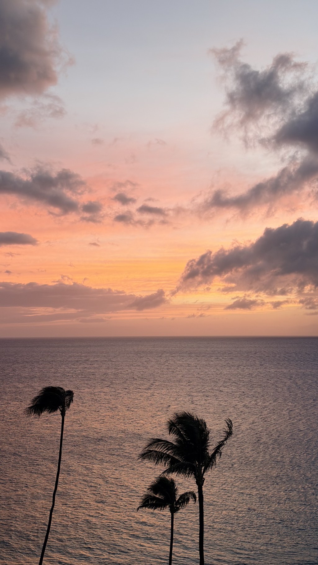 Sunset Sunset