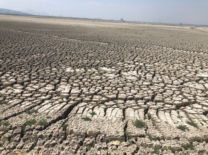 Los recortes acechan al Parque Ecológico de Texcoco, que será de los