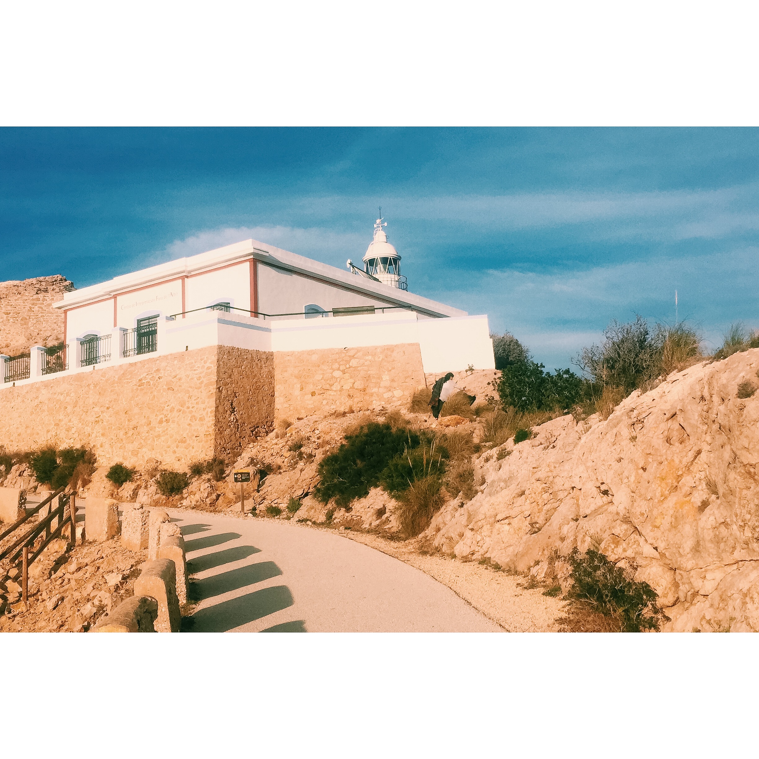 Processed with VSCOcam with c1 preset