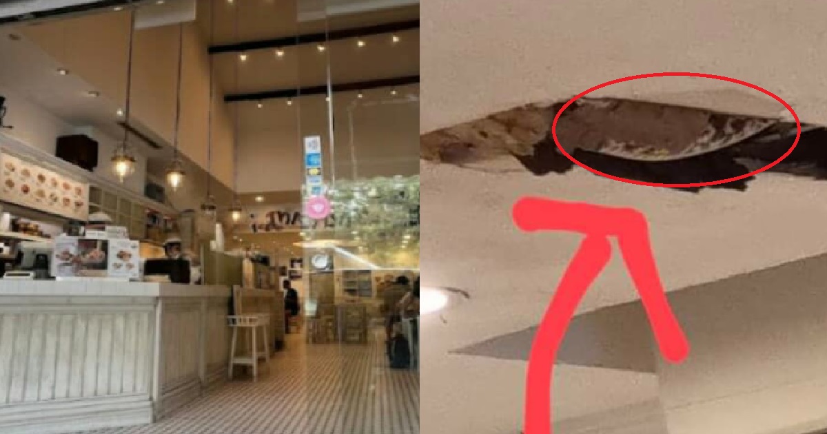 CEILING PANEL COLLAPSES & EXPOSES PYTHON HIDDEN INSIDE @ RAIL MALL, TOAST BOX
