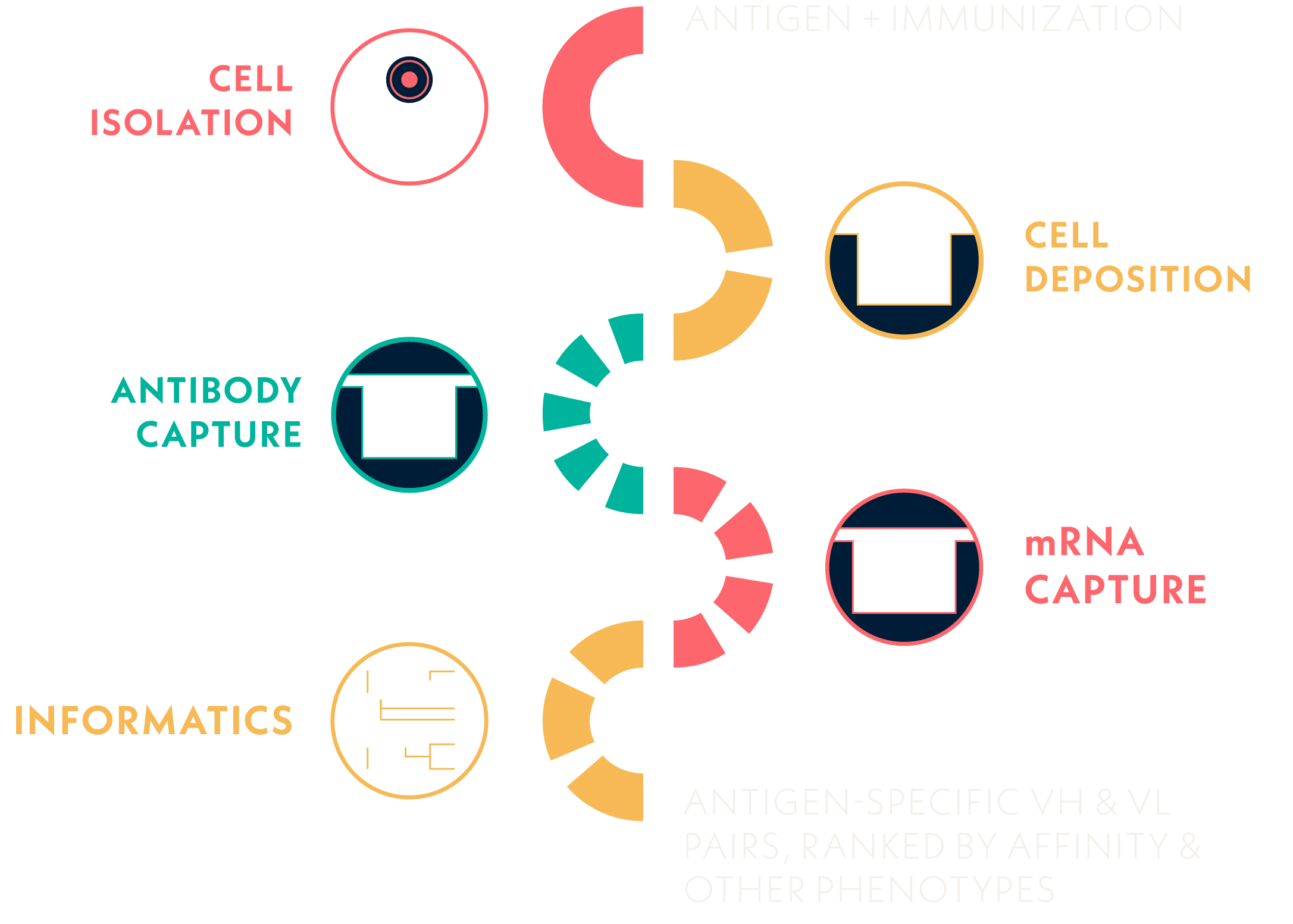 Single Cell Platform - Dark Background Collection - Desktop Quality