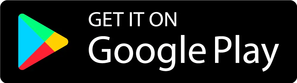 Google Store