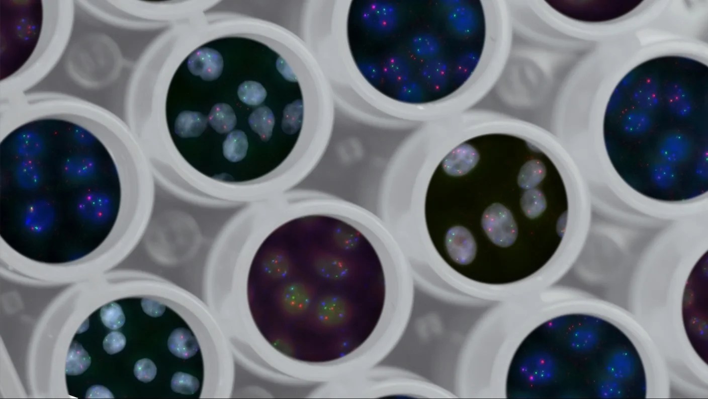 Attention Deficit Disorder Prosthetic Memory Program - Landscape Illustration Collection - 8K Quality