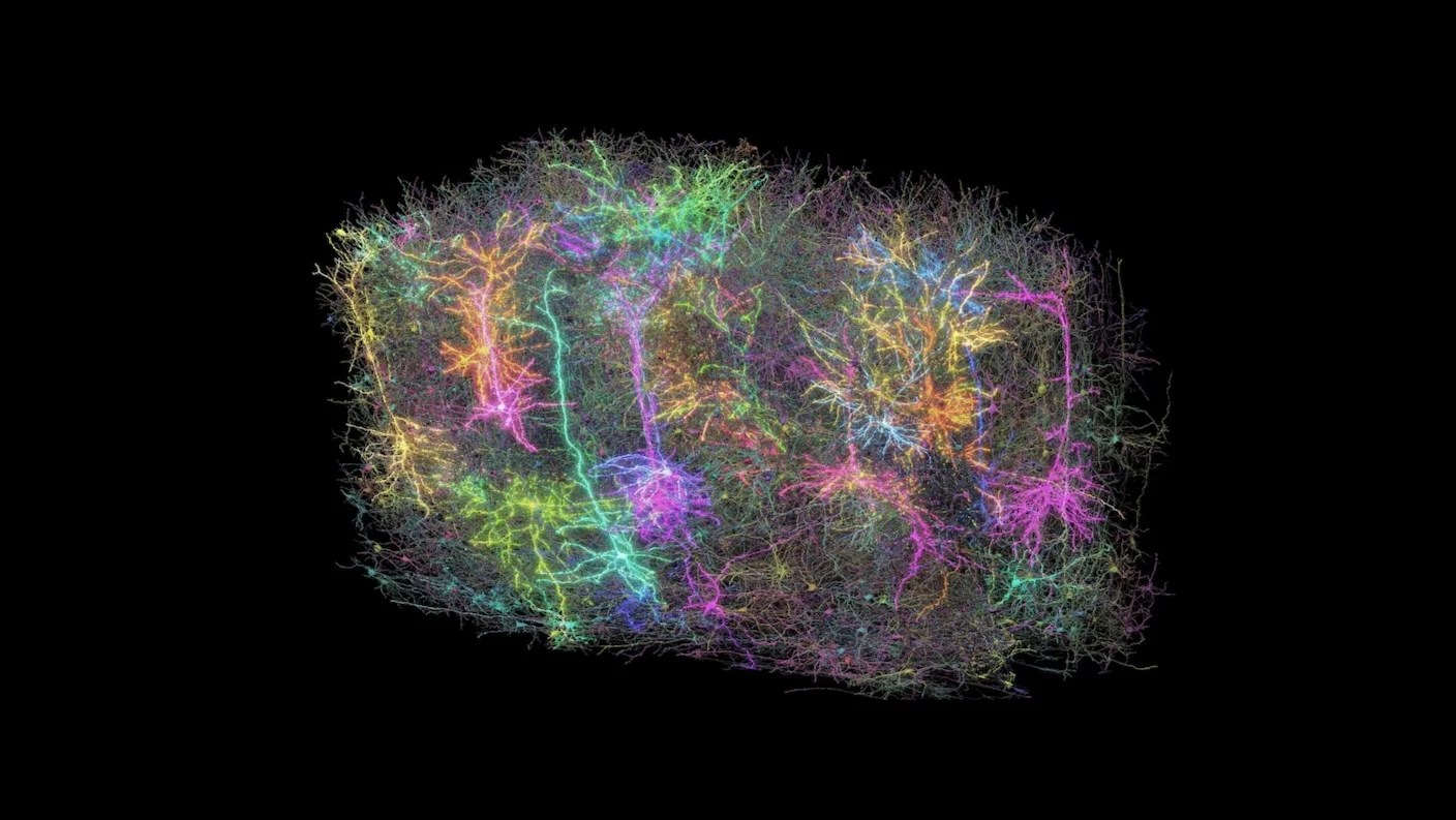 Scientists Have Created The Largest Map Ever Of The Brain - Best Space Pictures in High Resolution
