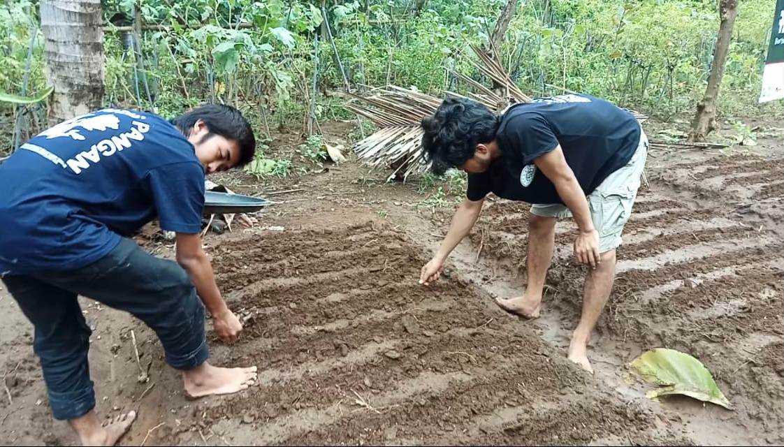 UNUD | Sinmawa Udayana - BERBAGI BENIH SAYURAN ALIANSI TANAM SAJA DUKUNG  KETAHANAN PANGAN SAAT PANDEMI