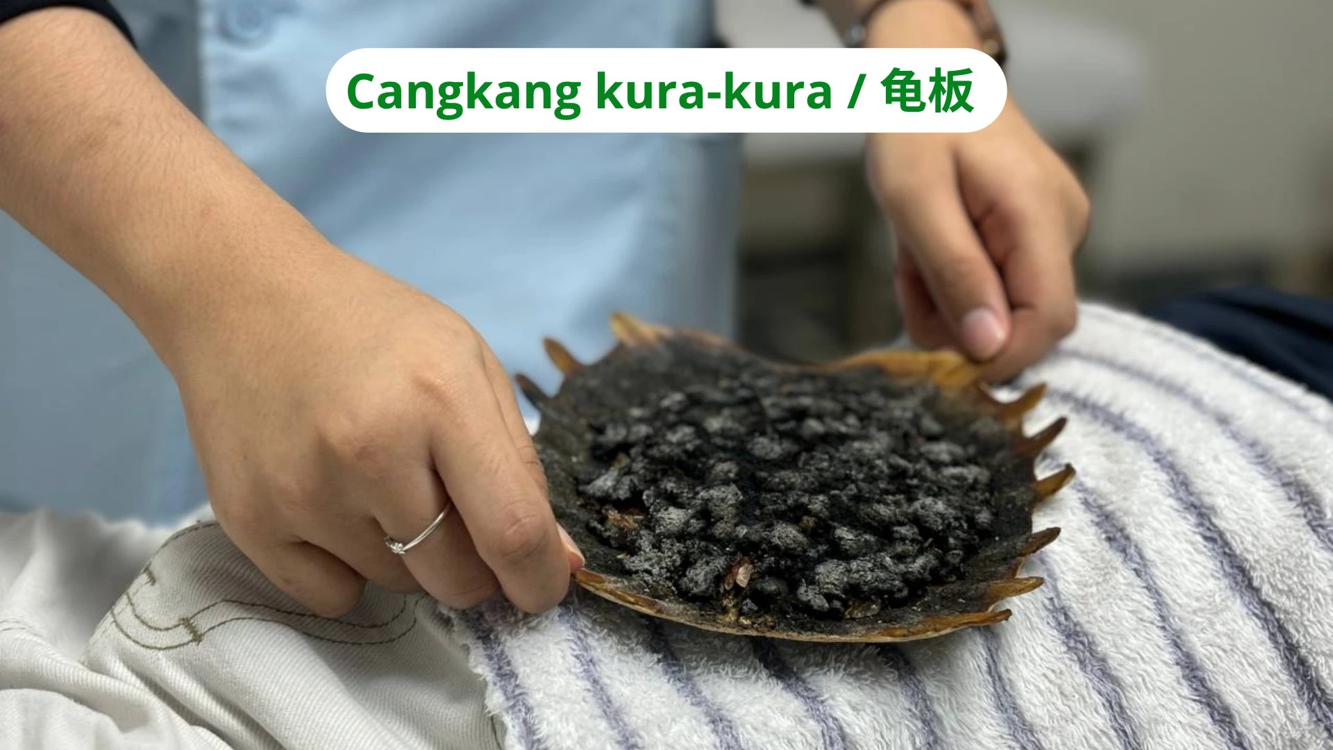 Terapi Cangkang kura kura