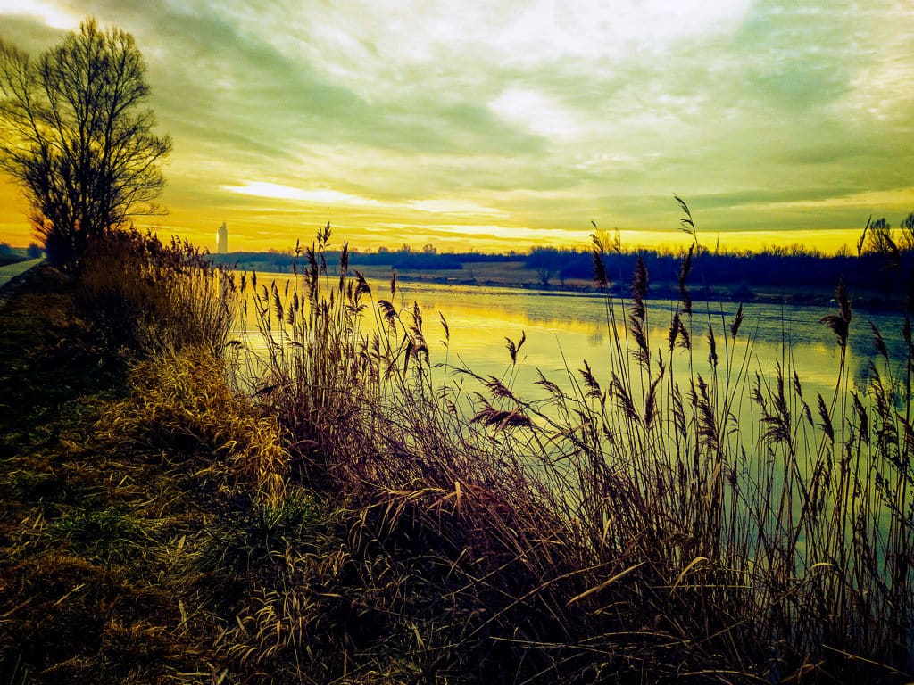 Mike Leighs Mr Turner Meister Des Lichts Mohnol Und Ochsenblut Kultur Tagesspiegel