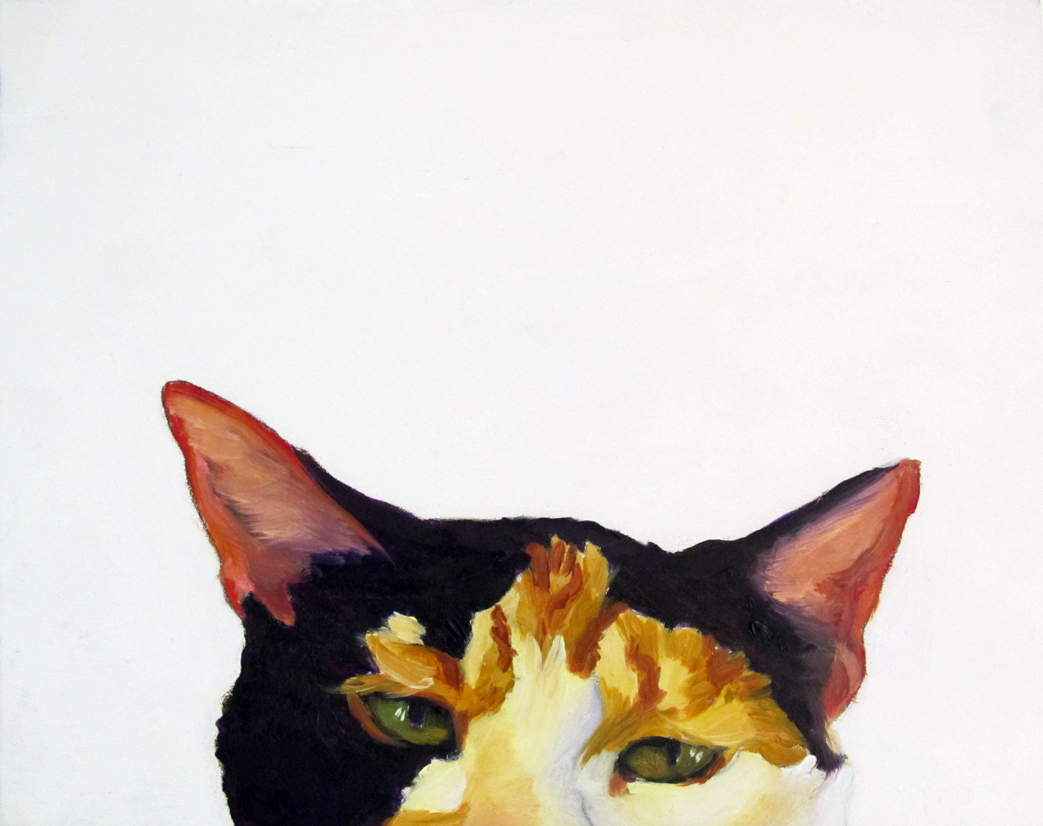 PeekCat